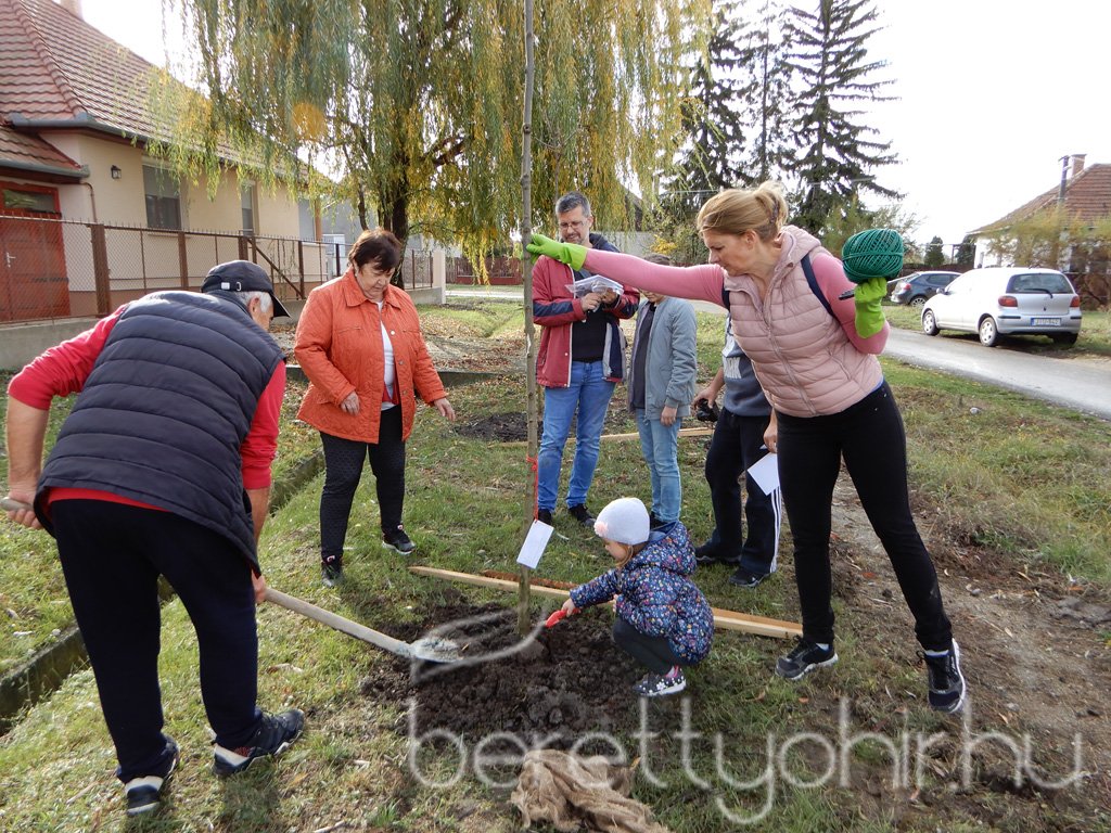 Közösségi faültetés Berettyóújfaluban 13